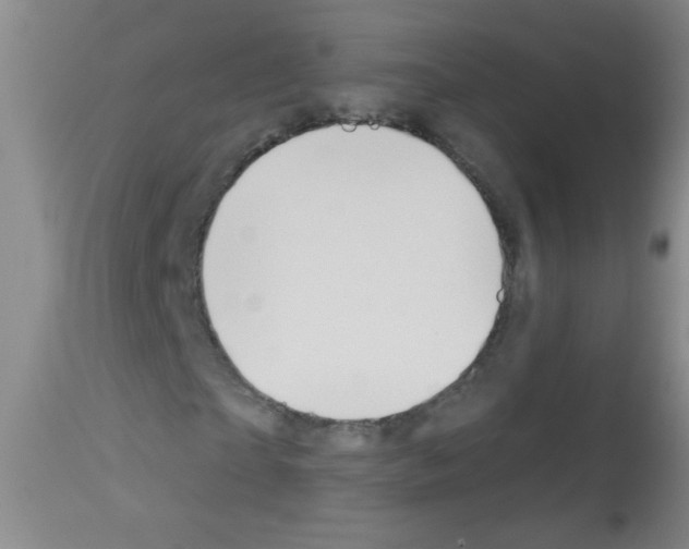 X0000113060865200910091141