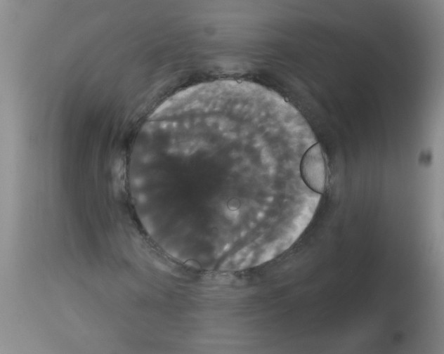 X0000113060866200910091141