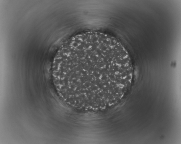 X0000113060867200910091141