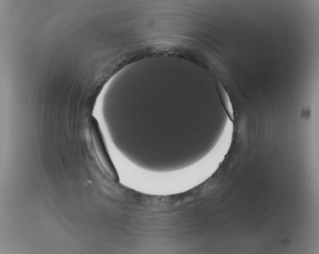 X0000113060868200910091141