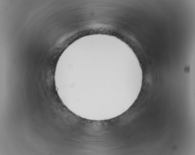 X0000113060869200910091141