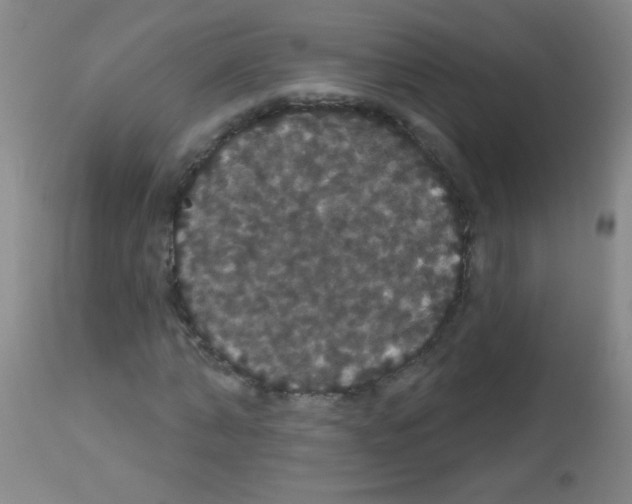 X0000113060870200910091141