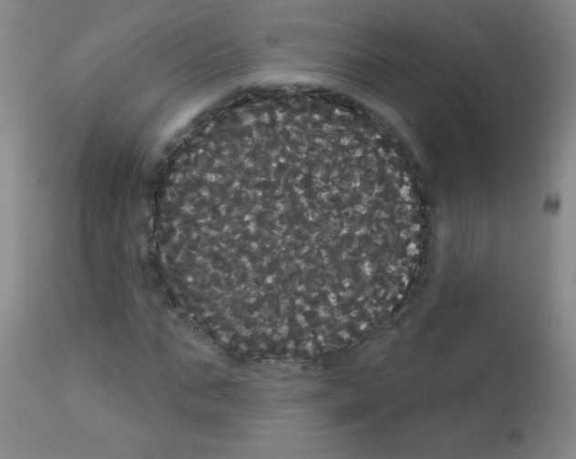 X0000113060871200910091141