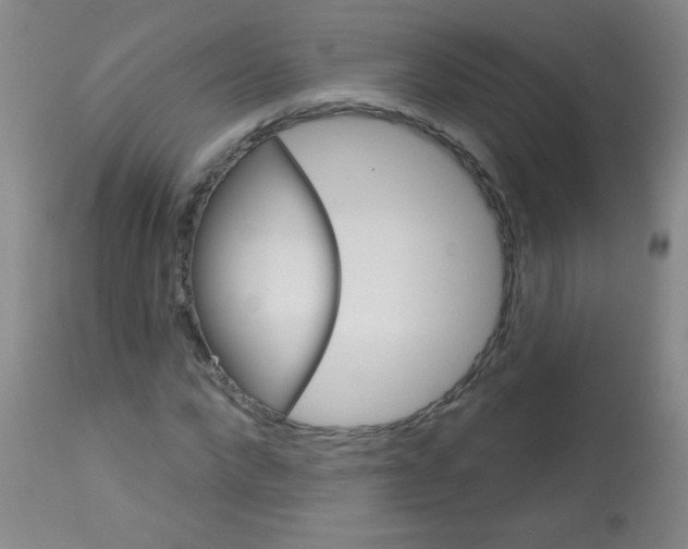X0000113060872200910091141