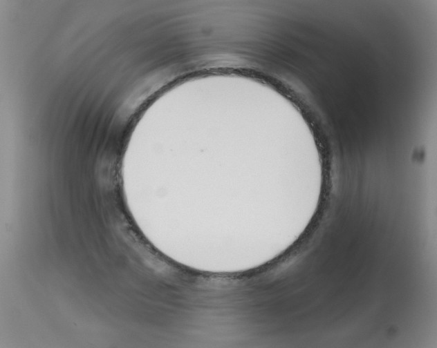 X0000113060873200910091141