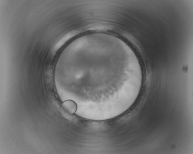 X0000113060874200910091141