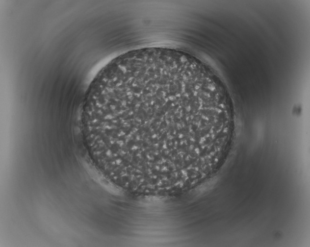 X0000113060875200910091141