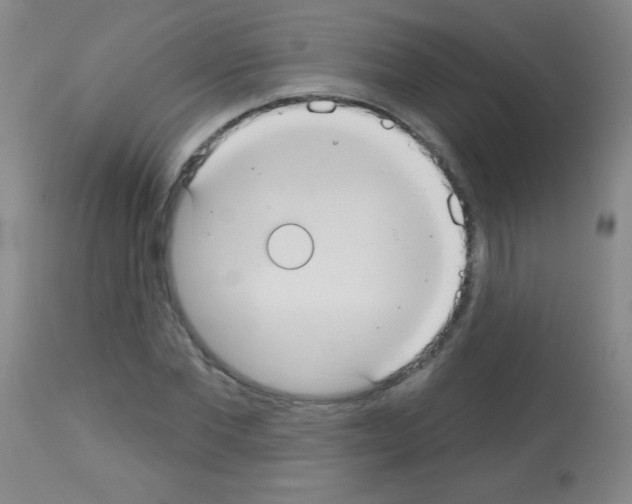 X0000113060877200910091141