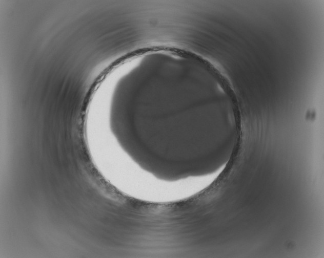 X0000113060879200910091141