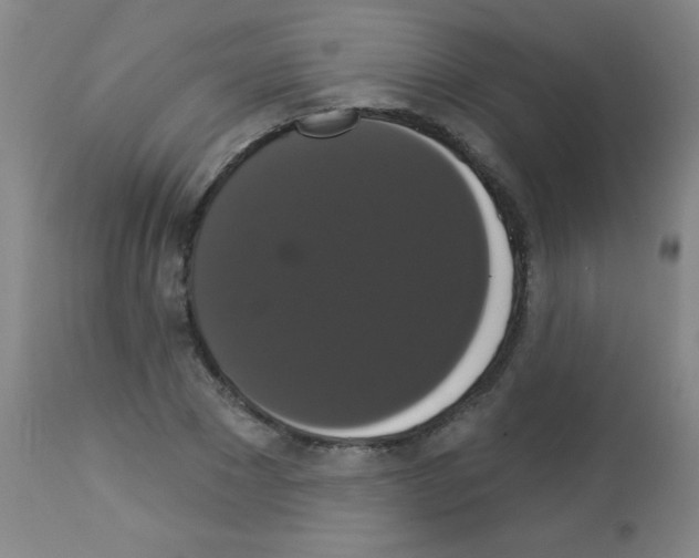 X0000113060881200910091141