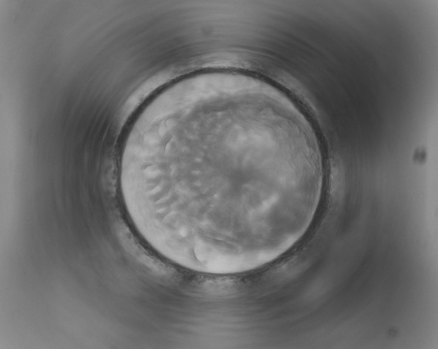 X0000113060882200910091141