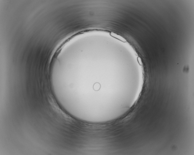 X0000113060884200910091140