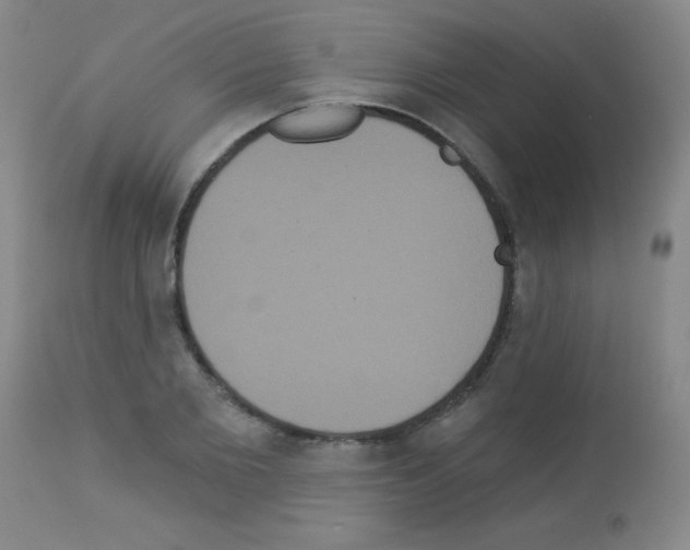 X0000113060885200910091140