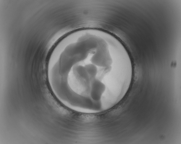 X0000113060886200910091140