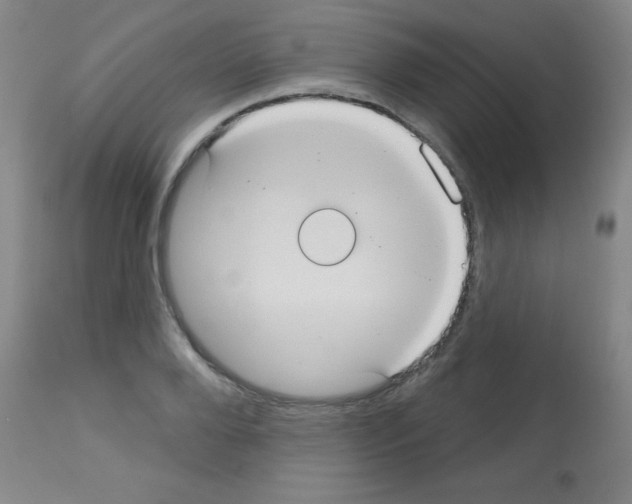 X0000113060888200910091140