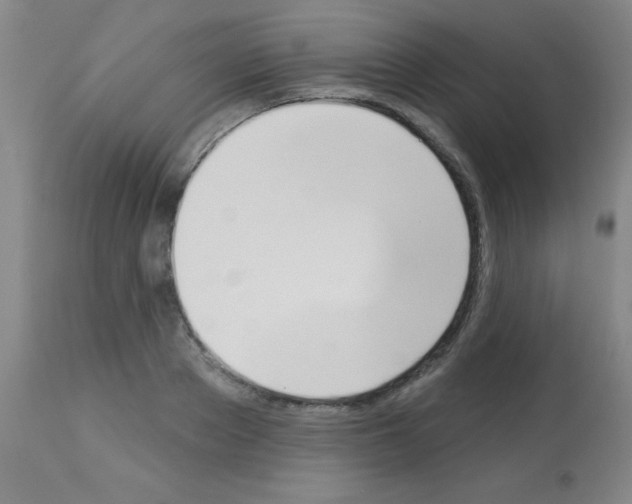 X0000113060889200910091140