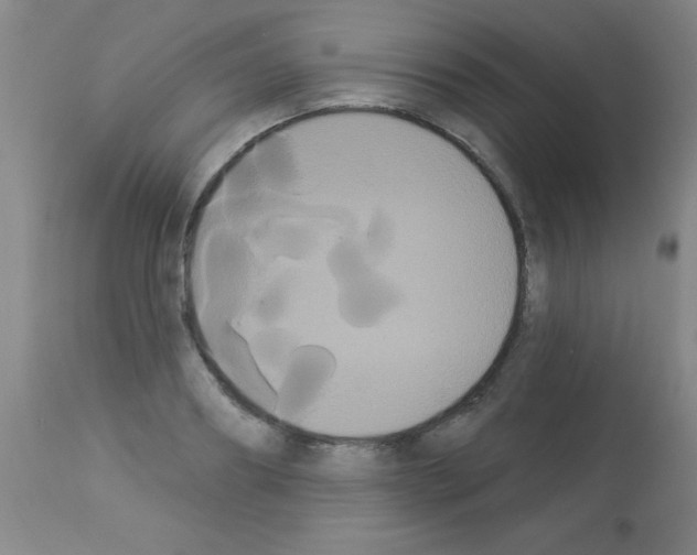 X0000113060890200910091140