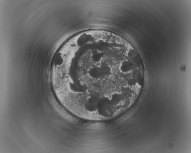 X0000113060891200910091140