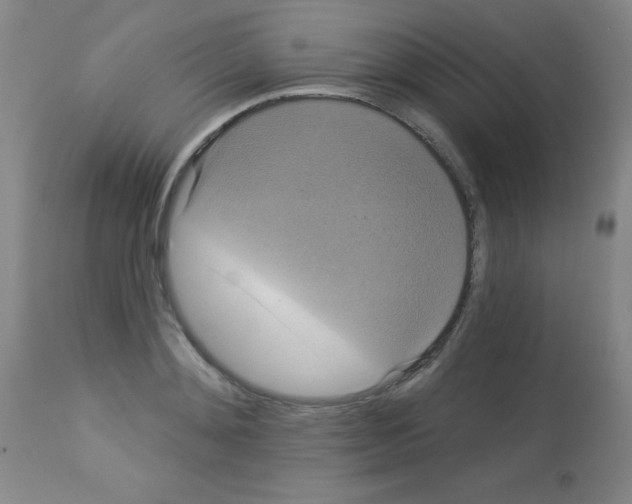 X0000113060892200910091140