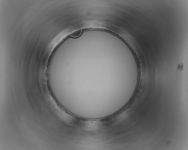 X0000113060893200910091140