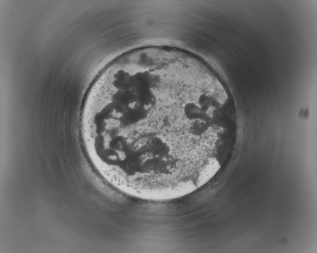 X0000113060895200910091140