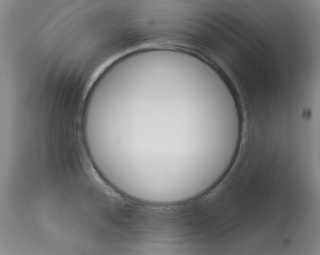 X0000113060896200910091140