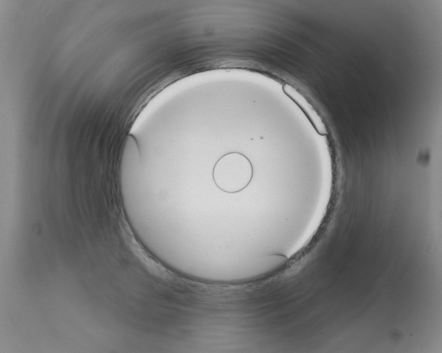 X0000113060897200910091140