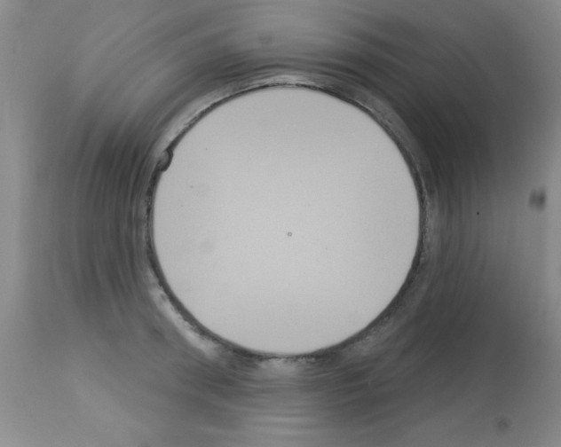X0000113060898200910091140