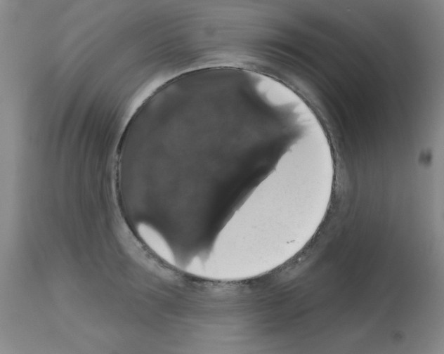 X0000113060899200910091140