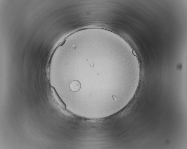 X0000113060900200910091140