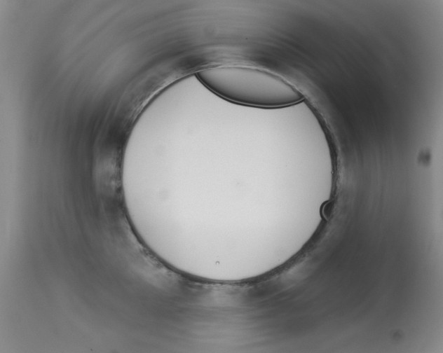 X0000113060905200910091140