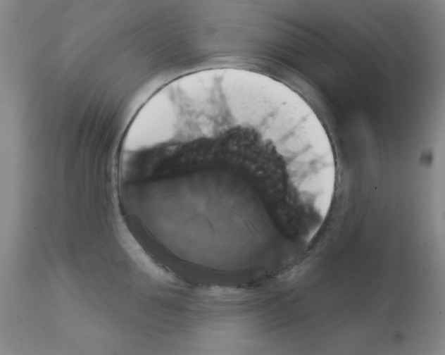 X0000113060907200910091140