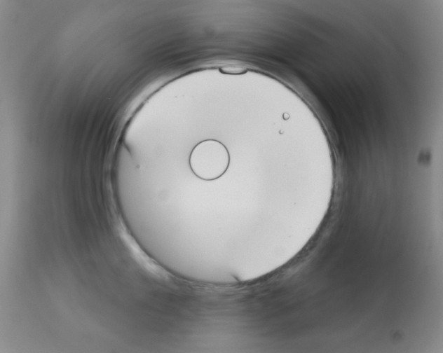 X0000113060909200910091140