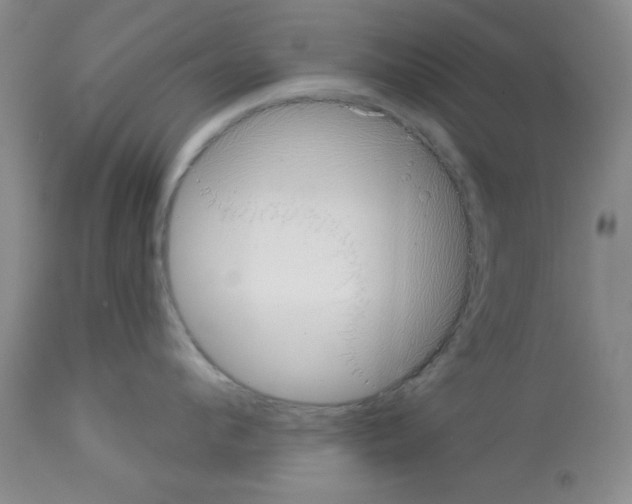 X0000113060912200910091140