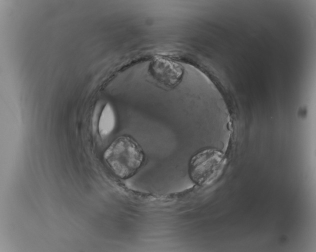 X0000113060913200910091139