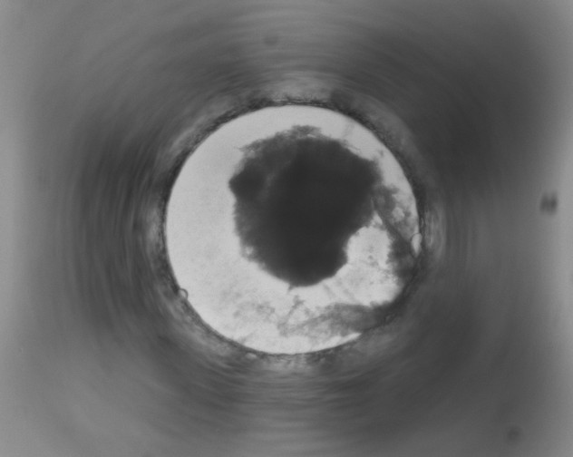 X0000113060915200910091139