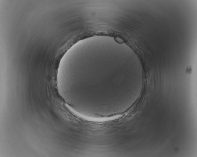 X0000113060916200910091139
