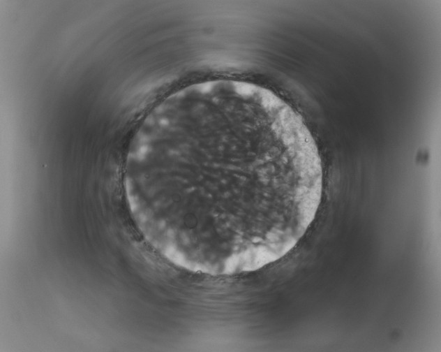 X0000113060917200910091139