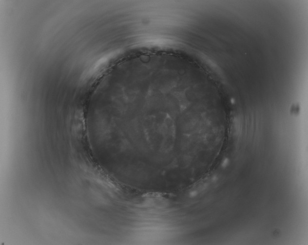 X0000113060918200910091139