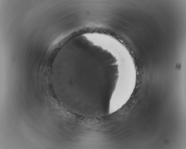X0000113060919200910091139