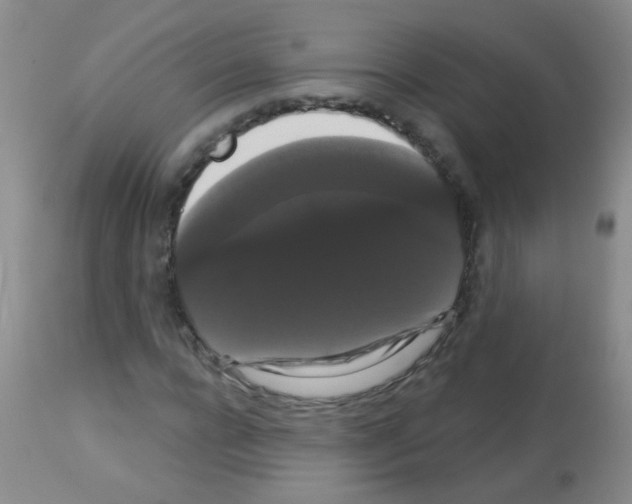 X0000113060920200910091139