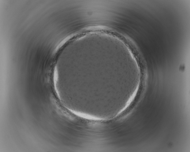 X0000113060921200910091139