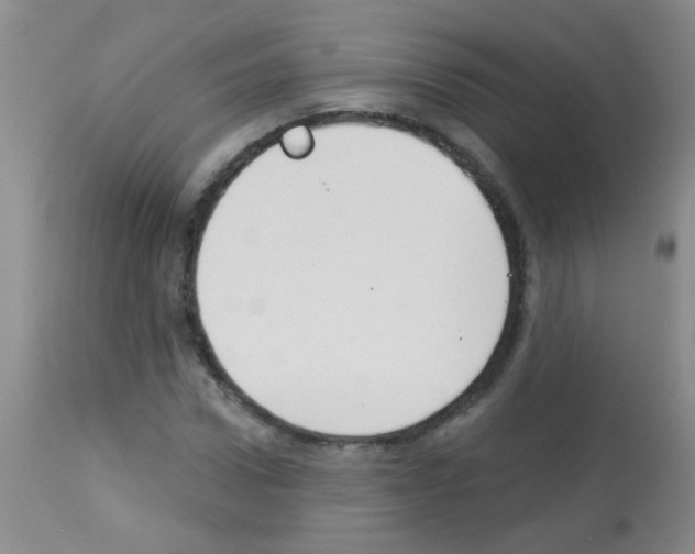 X0000113060922200910091139