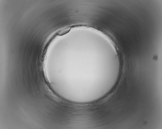 X0000113060924200910091139