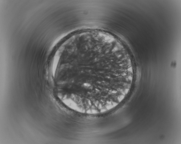 X0000113060925200910091139