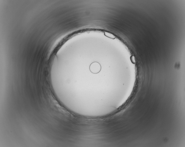 X0000113060926200910091139