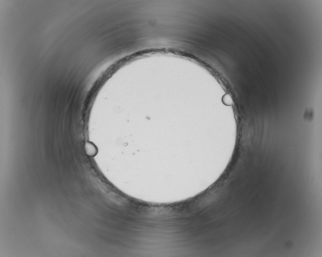 X0000113060927200910091139