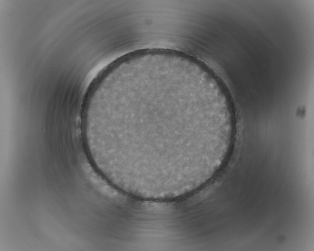 X0000113060928200910091139