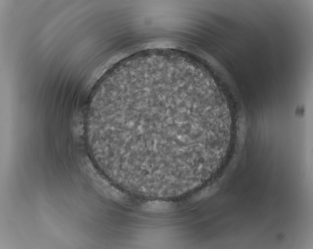 X0000113060929200910091140
