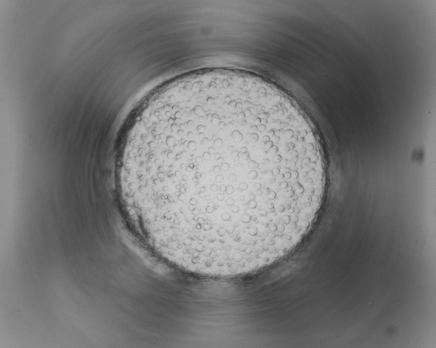 X0000113060931200910091140